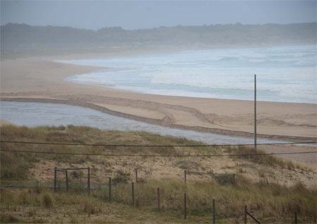 Fotografía de página completa