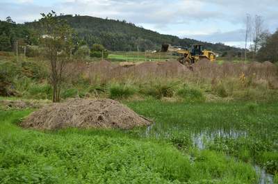 Recheos_en_zona_húmidaón-001