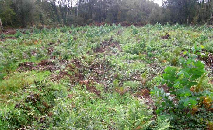 1-vista_xeral_repoboacion