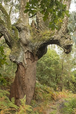 1-89638-1383862177-5