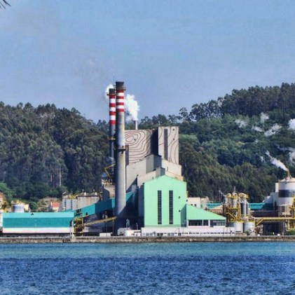 5352d29f2df0b-ence-elnosa