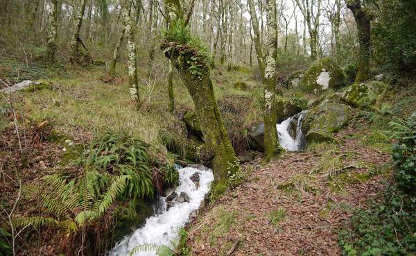 área de ribeira e fervenzas do rego Bouzós