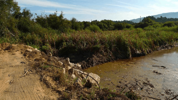 Proyecto_restauración_LIC_Gándaras_de_Budiño_1