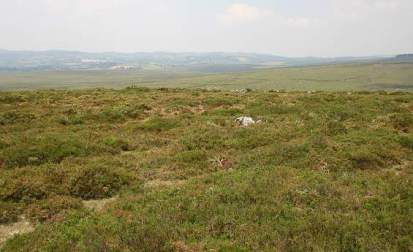 5949488897_ea6269b571_z