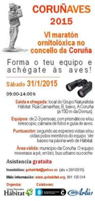 Maraton Ornitoloxica_corunaves_2015_1