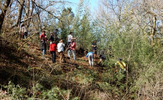 ???????????????????????????????