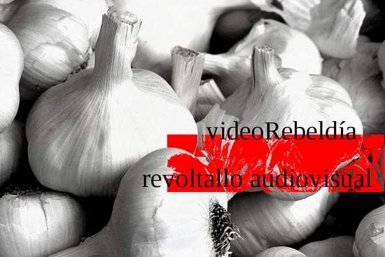 Garlic_Rudiger-Wolk_Munster_WikiC