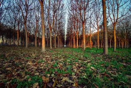 c117827dcb434d781be62e3d9512c6d2_L