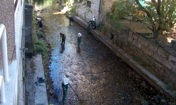 limpeza 7ª da 8ª 009