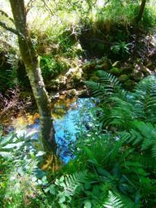 Punto_vertido_río_Sesín