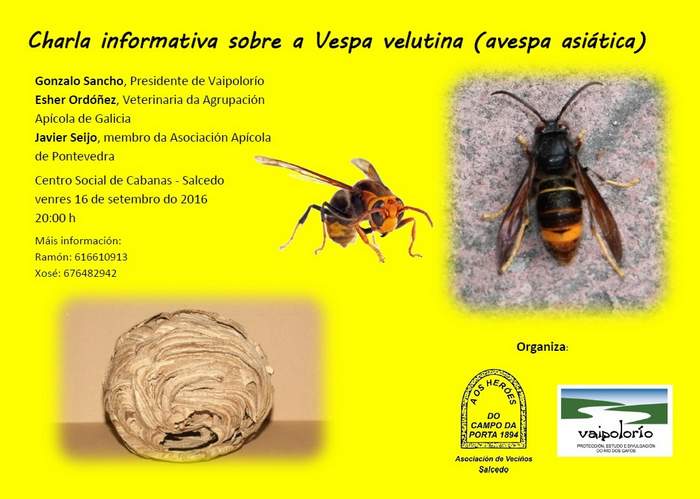 cartaz-charla-velutina