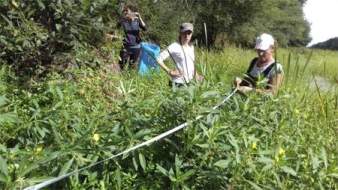 tamano_nova_web_adega