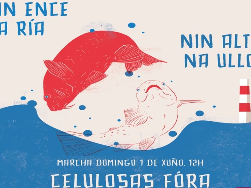 Marcha contra as celulosas: Nin Ence na ría, nin Altri na Ulloa, 1 de xuño en Marín e Pontevedra